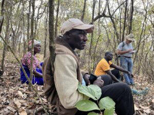 Severina, Damian und Ezekeli diskutieren mit farip, wie sie aus ihren Wäldern, die eine reiche Biodiversität aufweisen, ein kontinuierliches Einkommen erzielen können.